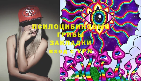 МДМА Медвежьегорск