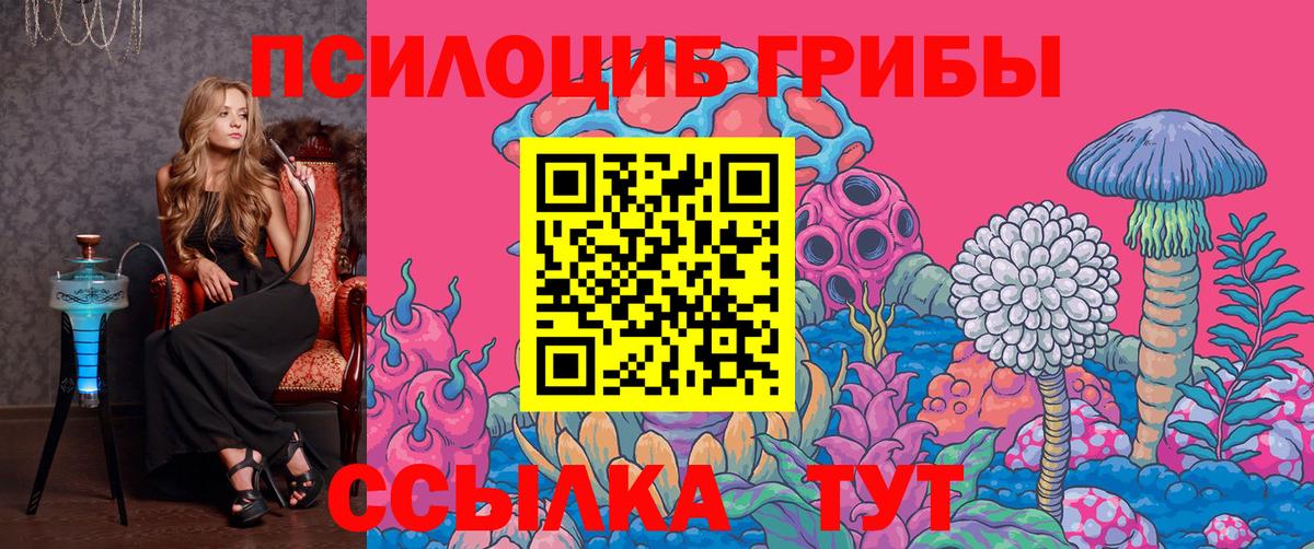 Чапаевск  Галлюциногенные грибы Psilocybine cubensis  Вход с VPN 