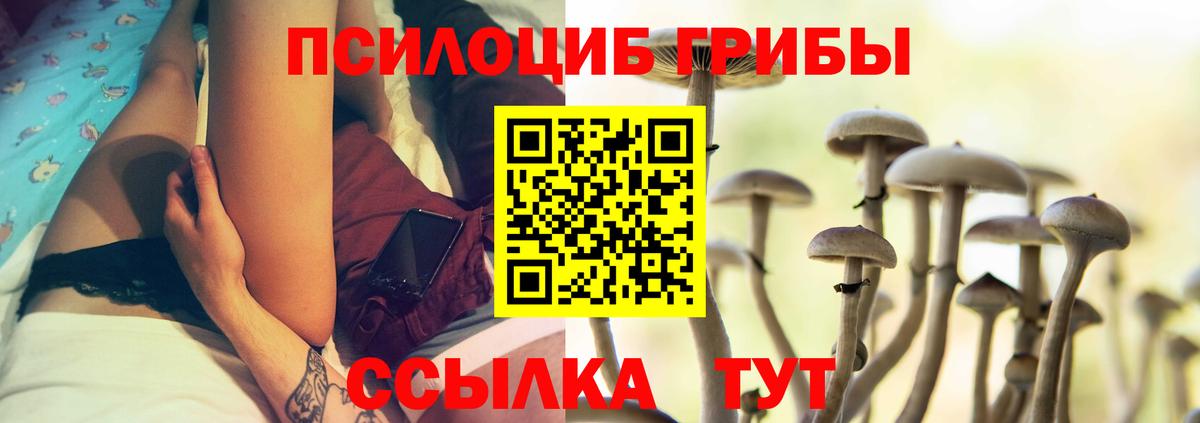 Галлюциногенные грибы мицелий  Галлюциногенные грибы Psilocybe  закладка  Чапаевск 